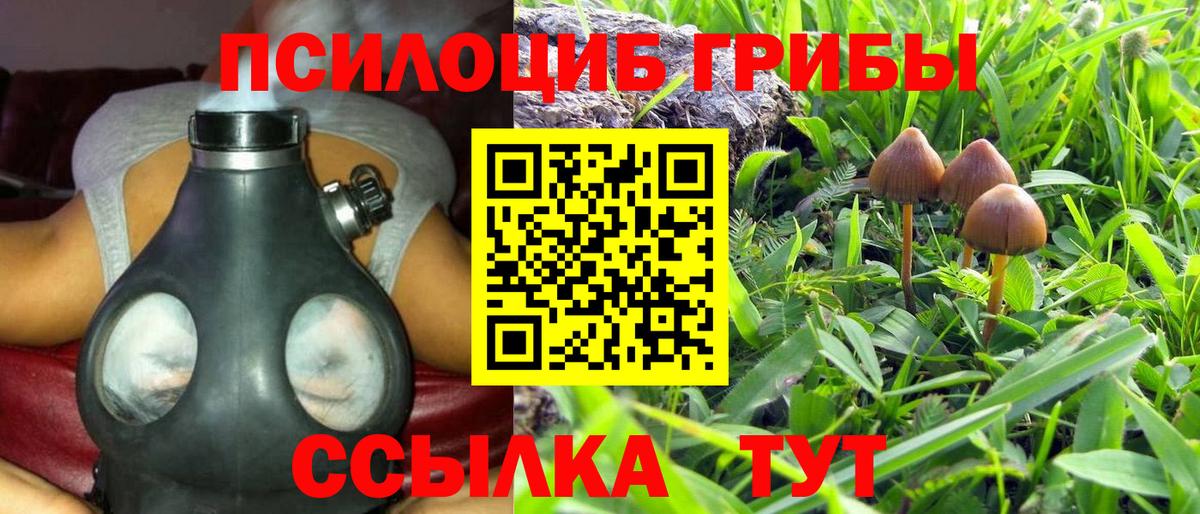 Псилоцибиновые грибы Psilocybine cubensis Белогорск